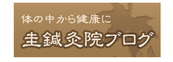圭鍼灸院ブログ